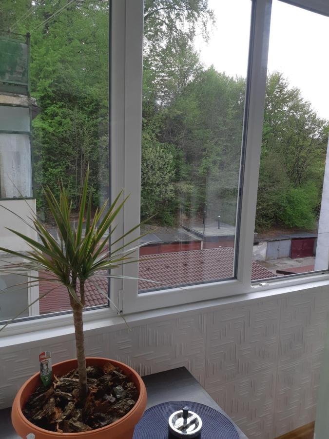 Florin Apartament Sighisoara Ngoại thất bức ảnh