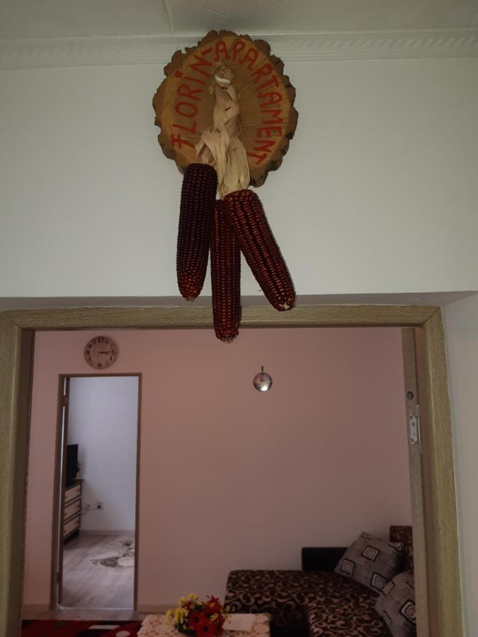 Florin Apartament Sighisoara Ngoại thất bức ảnh